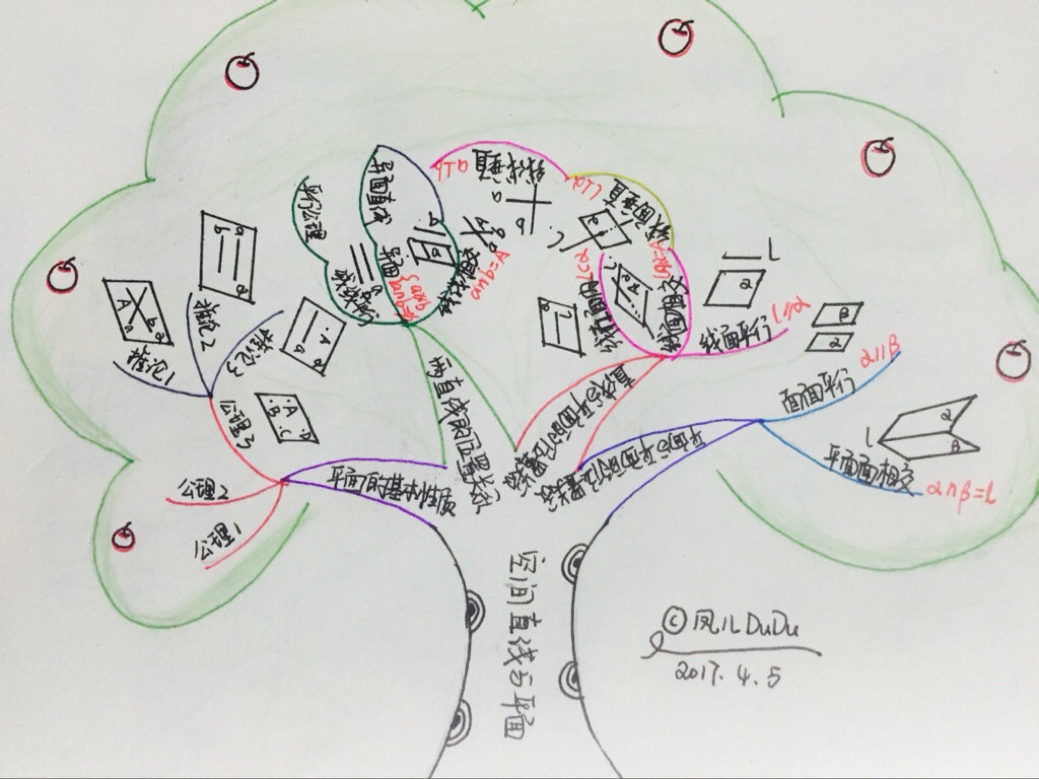 娃娃手绘 | 数学与思维导图